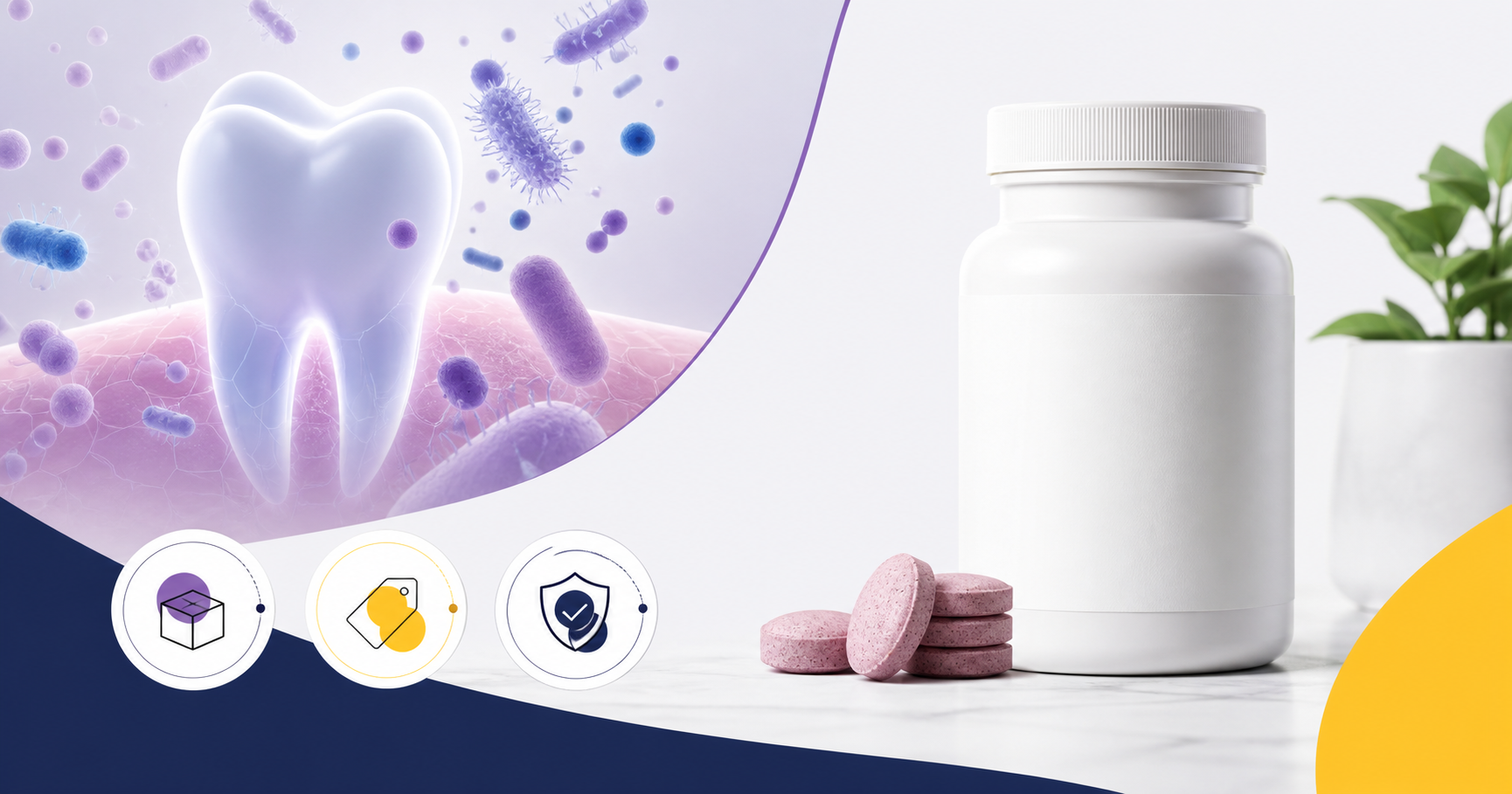 ProDentim bottles with package prices, oral probiotic ingredients and 60-day guarantee details